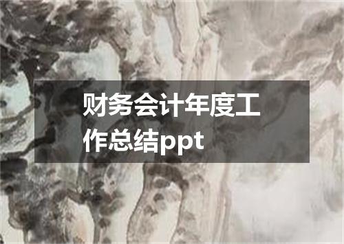 财务会计年度工作总结ppt