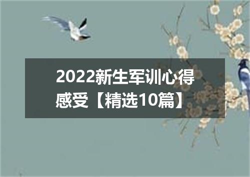2022新生军训心得感受【精选10篇】