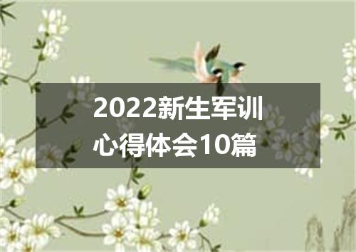 2022新生军训心得体会10篇