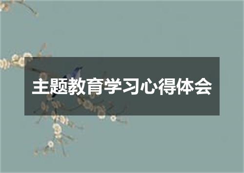 主题教育学习心得体会