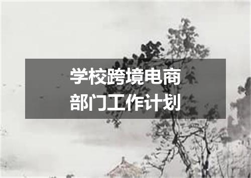 学校跨境电商部门工作计划
