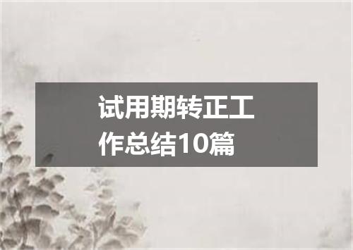 试用期转正工作总结10篇