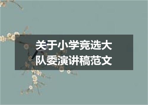 关于小学竞选大队委演讲稿范文