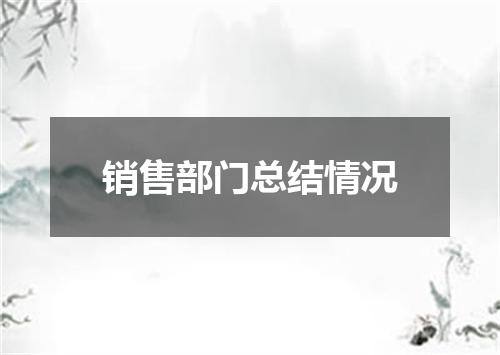 销售部门总结情况