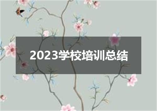 2023学校培训总结