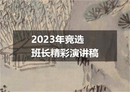 2023年竞选班长精彩演讲稿