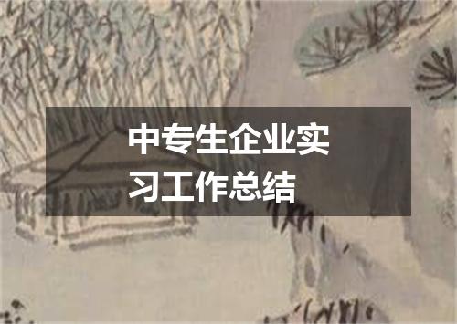 中专生企业实习工作总结