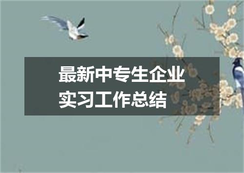 最新中专生企业实习工作总结
