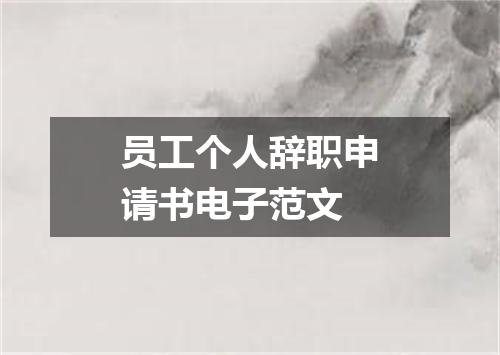 员工个人辞职申请书电子范文