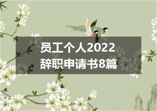 员工个人2022辞职申请书8篇