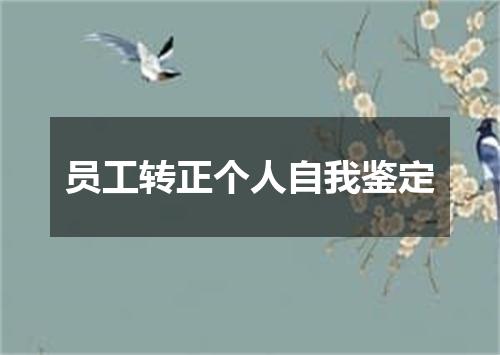员工转正个人自我鉴定