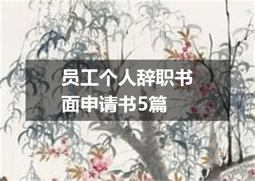 员工个人辞职书面申请书5篇
