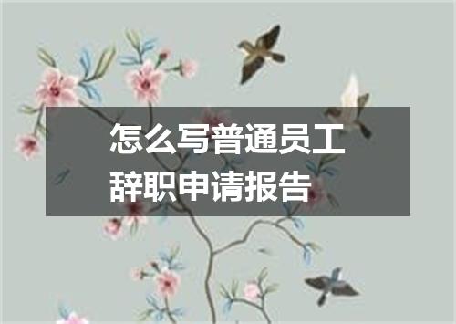 怎么写普通员工辞职申请报告