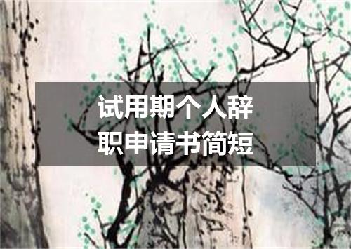 试用期个人辞职申请书简短