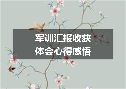 军训汇报收获体会心得感悟