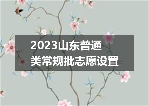 2023山东普通类常规批志愿设置