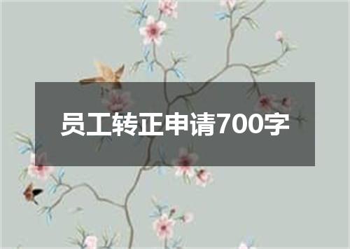 员工转正申请700字