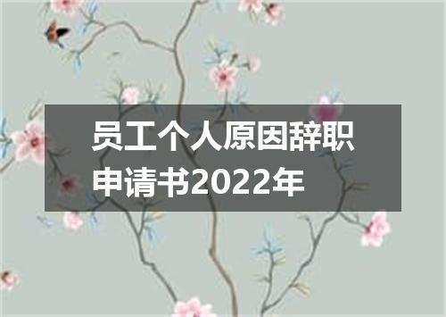 员工个人原因辞职申请书2022年