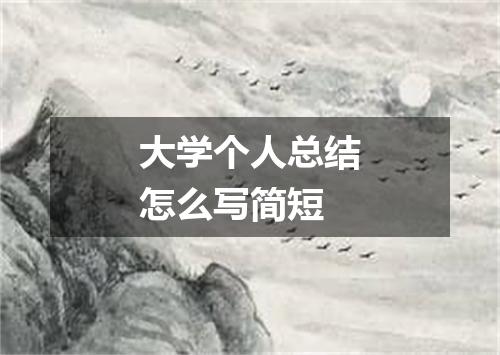 大学个人总结怎么写简短