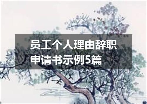员工个人理由辞职申请书示例5篇