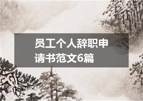 员工个人辞职申请书范文6篇