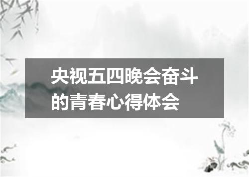 央视五四晚会奋斗的青春心得体会