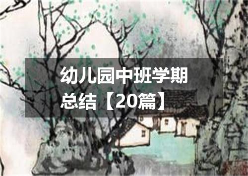 幼儿园中班学期总结【20篇】