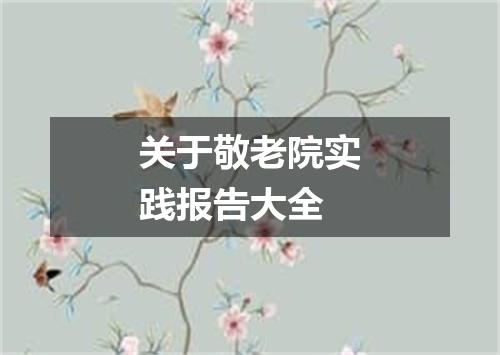 关于敬老院实践报告大全