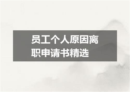 员工个人原因离职申请书精选
