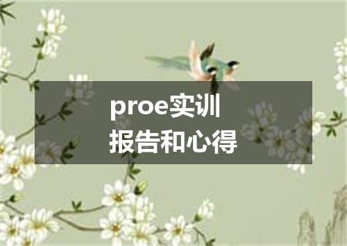 proe实训报告和心得