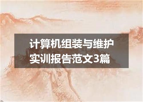 计算机组装与维护实训报告范文3篇