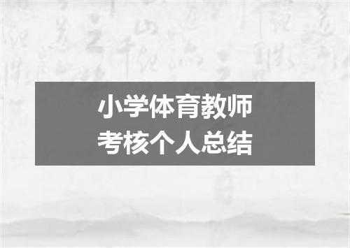 小学体育教师考核个人总结