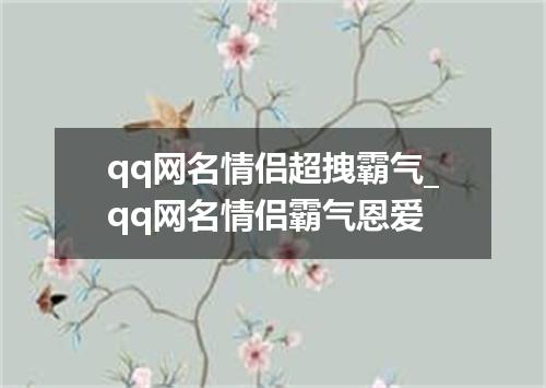 qq网名情侣超拽霸气_qq网名情侣霸气恩爱