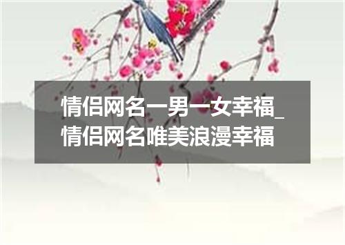 情侣网名一男一女幸福_情侣网名唯美浪漫幸福