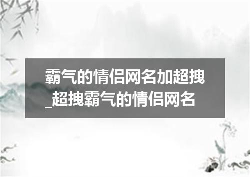 霸气的情侣网名加超拽_超拽霸气的情侣网名