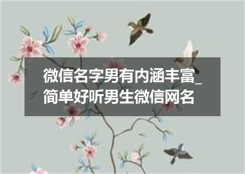微信名字男有内涵丰富_简单好听男生微信网名