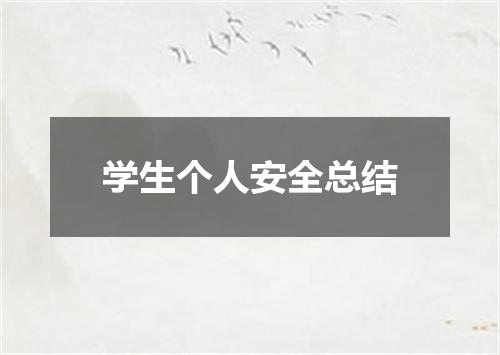 学生个人安全总结