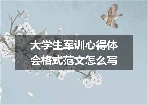 大学生军训心得体会格式范文怎么写