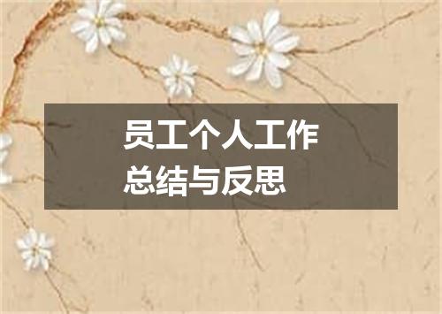 员工个人工作总结与反思