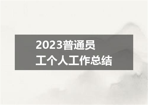 2023普通员工个人工作总结