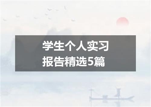 学生个人实习报告精选5篇