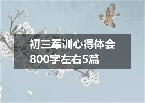 初三军训心得体会800字左右5篇