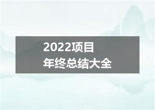 2022项目年终总结大全
