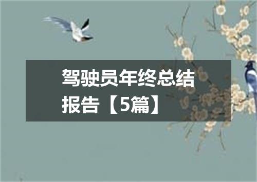 驾驶员年终总结报告【5篇】
