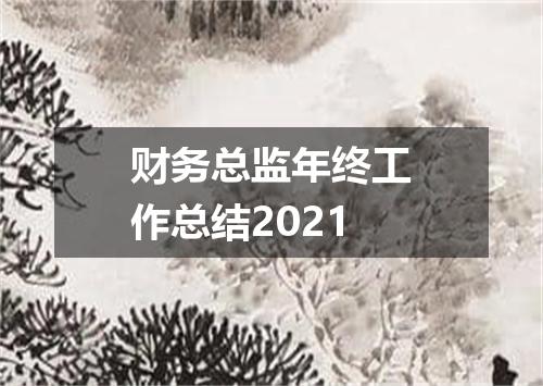 财务总监年终工作总结2021