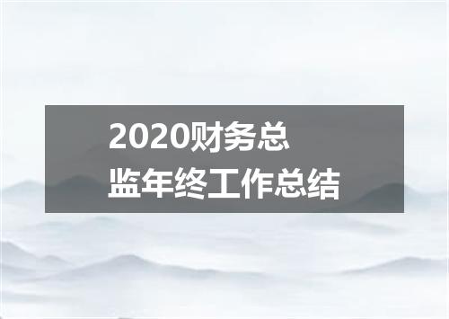 2020财务总监年终工作总结