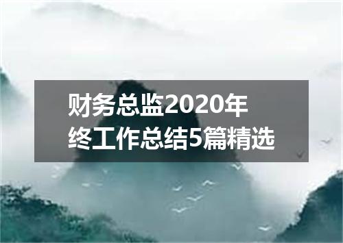 财务总监2020年终工作总结5篇精选