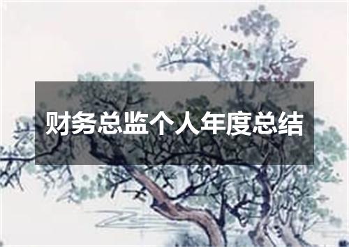 财务总监个人年度总结