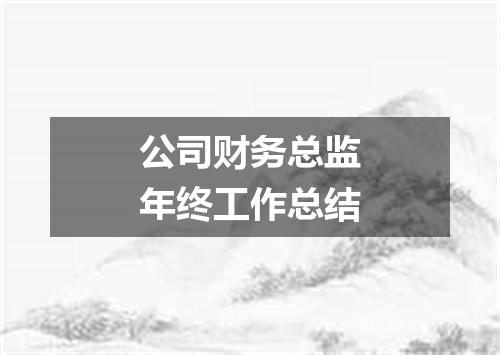 公司财务总监年终工作总结