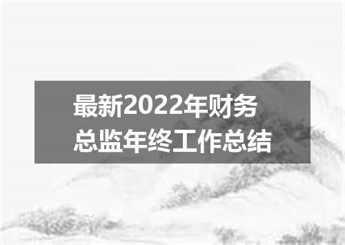 最新2022年财务总监年终工作总结